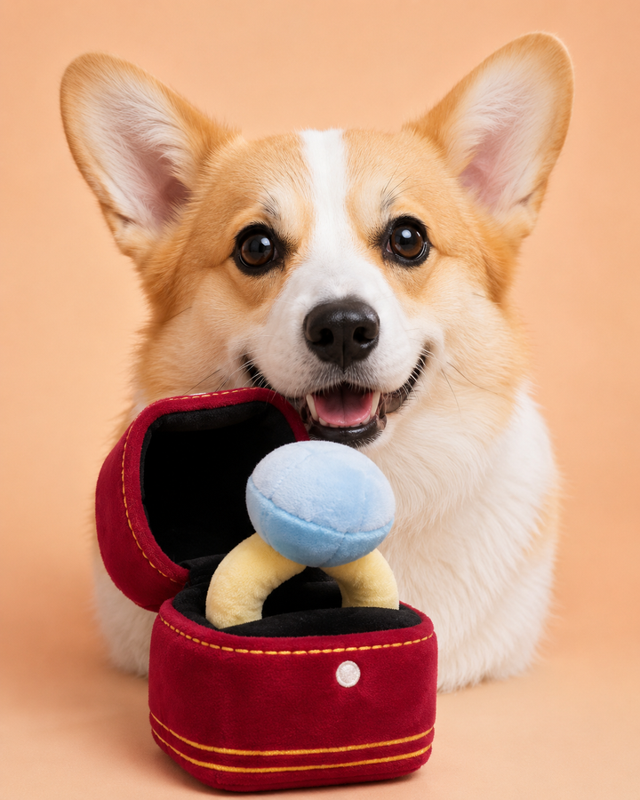 Chomp &amp; Co. Engagement Ring Squeaker