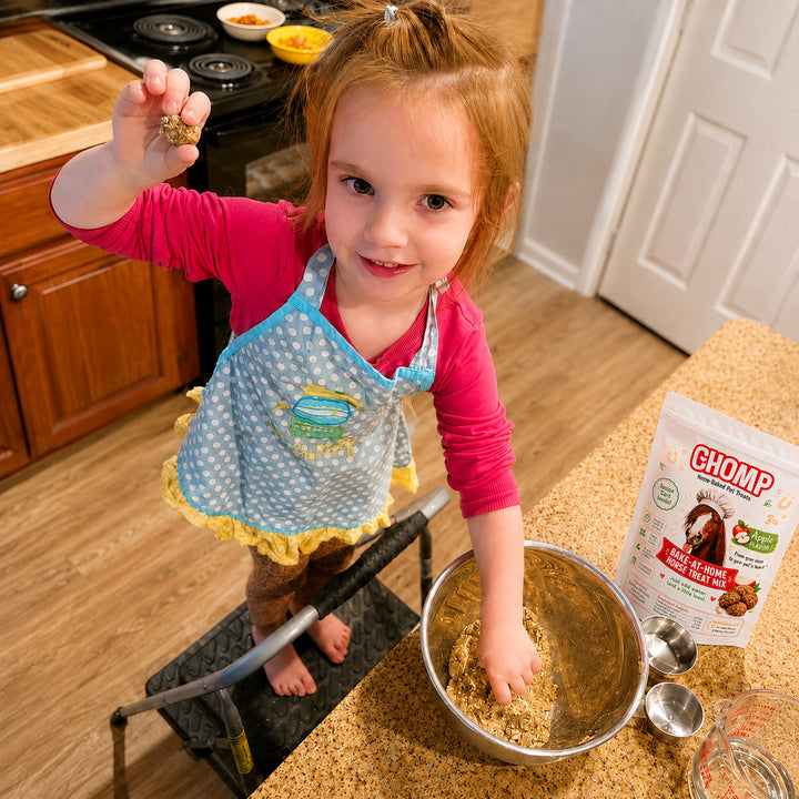 homemade horse treats
